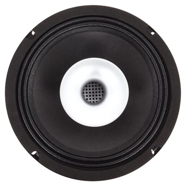 ECX-6.5 - 6.5" 4ohm Coax PA--EACH - Image 3
