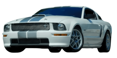 2005 Mustang Catt