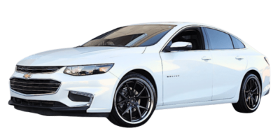 2016 Malibu Catt